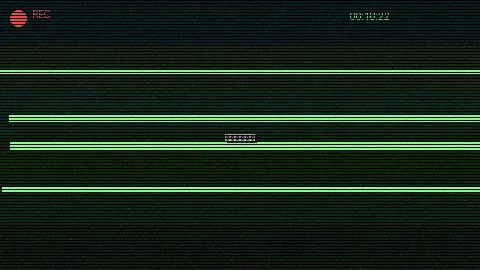 清晨公园散步 - 911爆料 日常记录